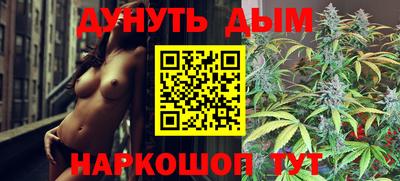 трава Новодвинск