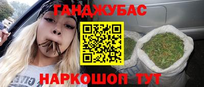 гашик Новокубанск